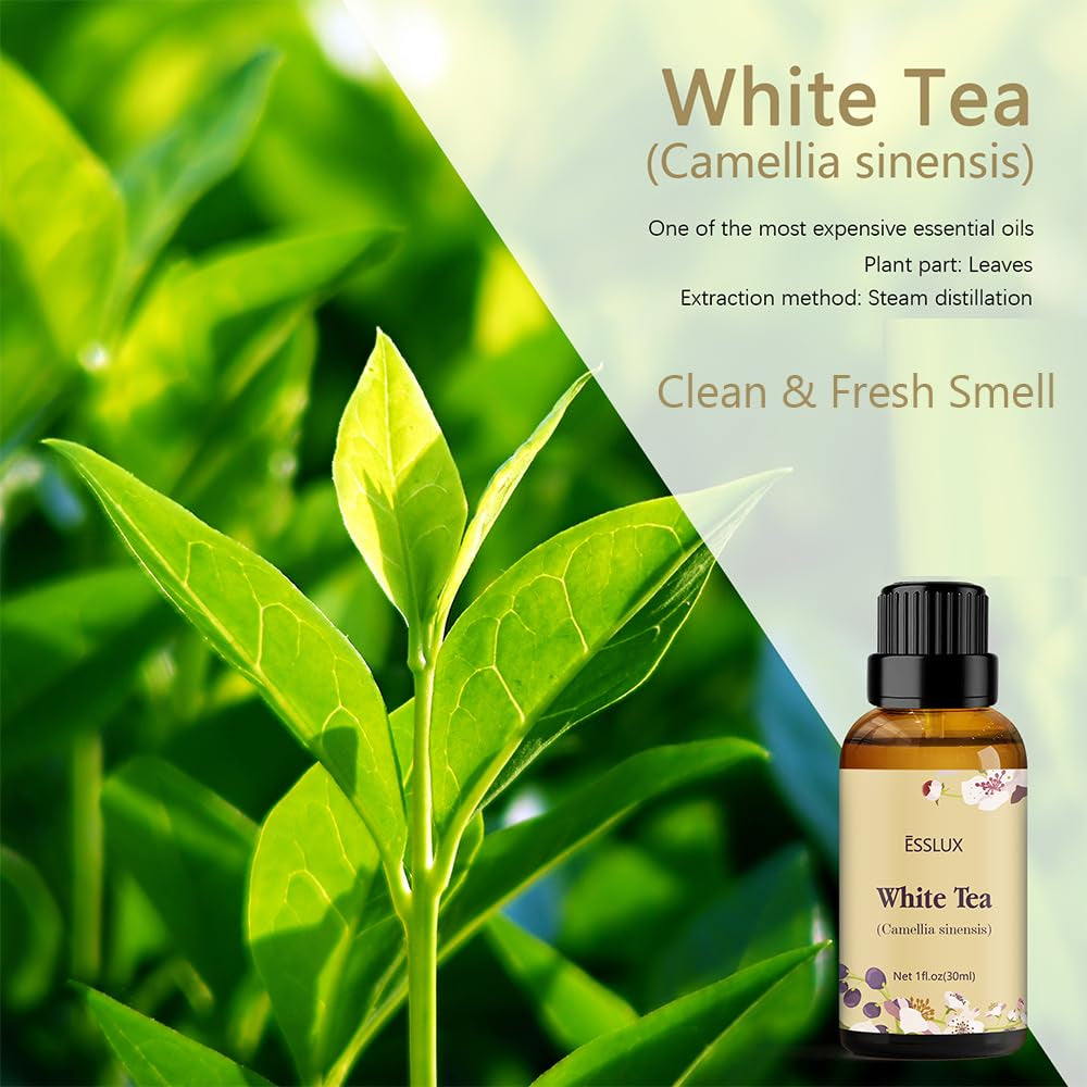 White Tea Essential Oil, Aromatherapy Essential Oils for Diffuser, Massage, Soap, Candle Making, Home Fragrance, 30 Ml